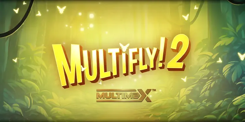 machine a sous MultiFly 2